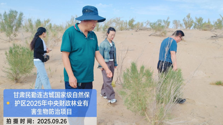 1770880008428981.png 2.12-1.png