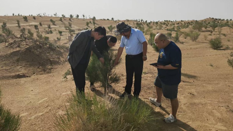 1770880076143069.jpg 2.12-5.jpg