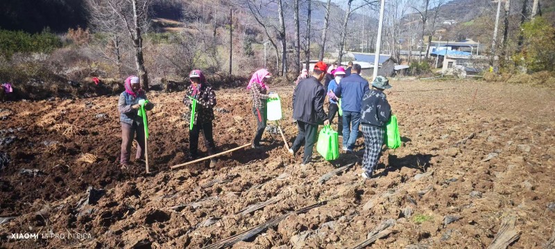 1773132290915661.jpg 3eaa7614fcbf0ea142edc9ce7df5d648.jpg