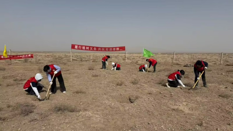 3.20植树1.jpg
