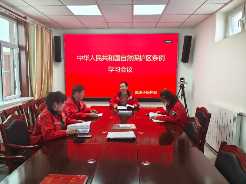 1774259293128735.jpg 图片.jpg