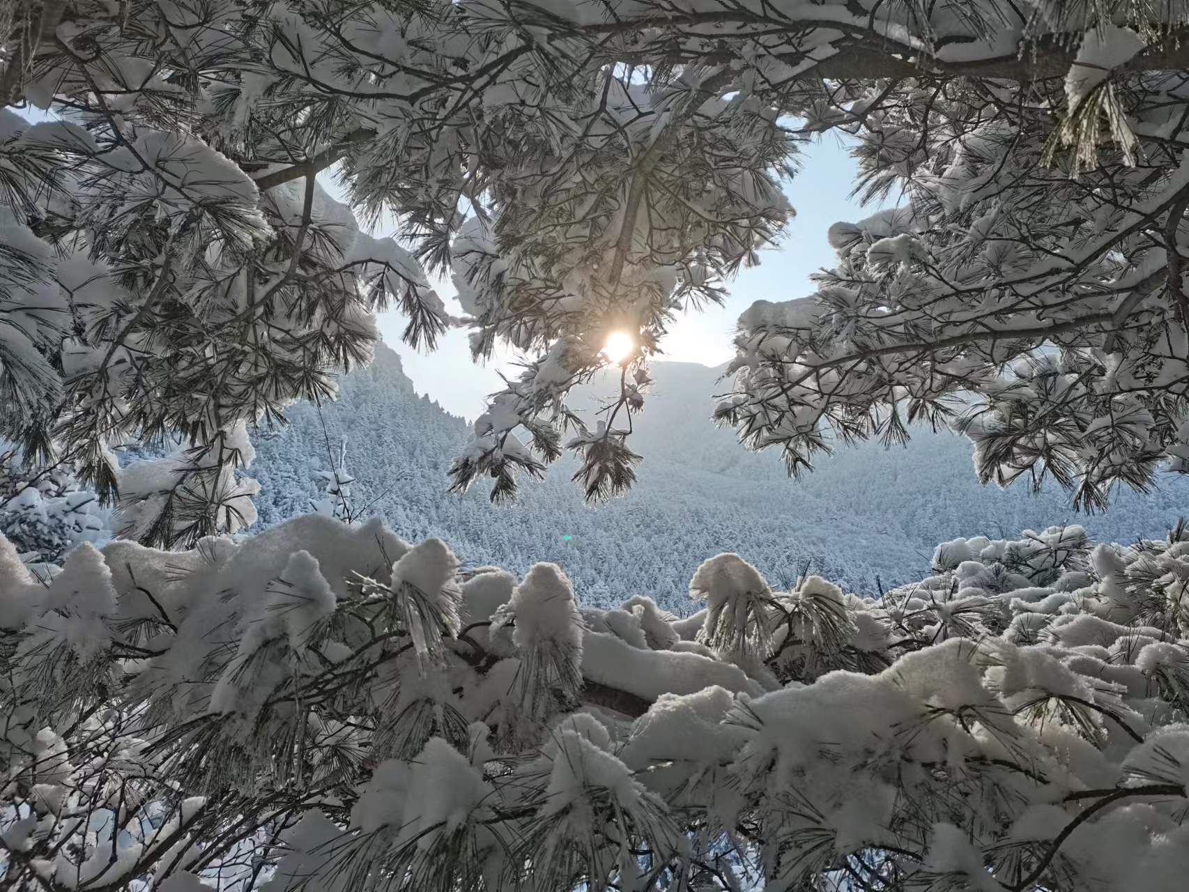 1774859754823053.jpg 10477@2603_705477761.20260320145404.jpg