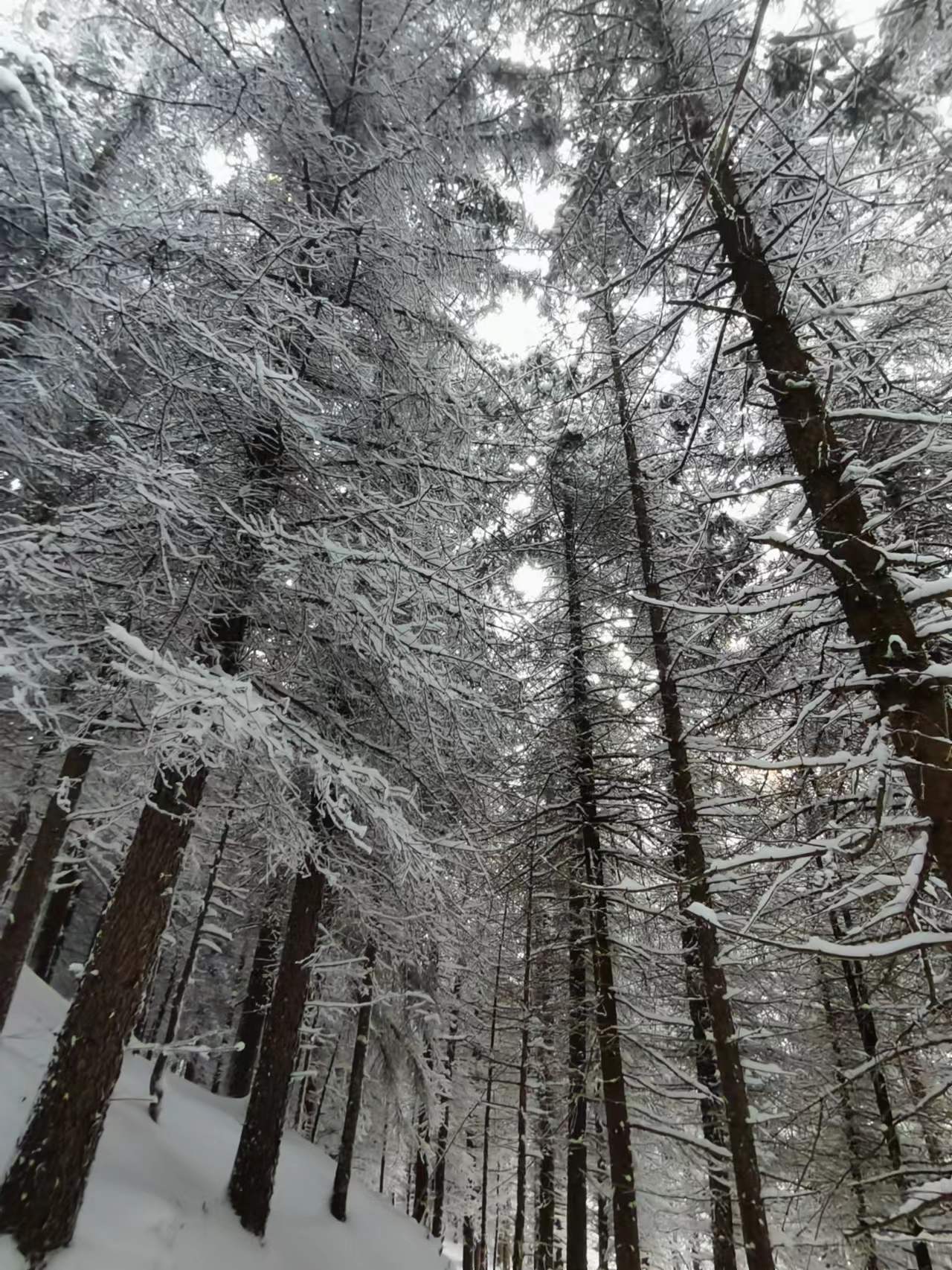 1774859854532325.jpg 1774859799779783.jpg