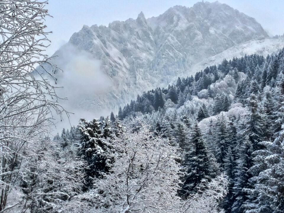 1774860379791080.png 图片1.png