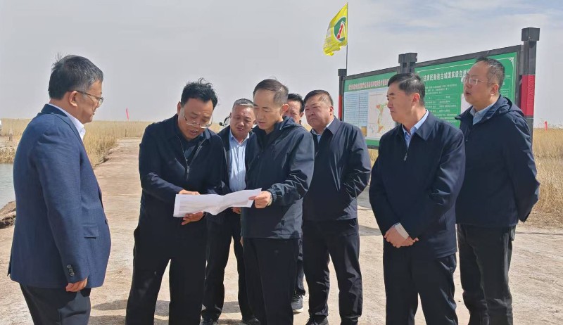 1775186421121597.jpg 青土湖调研1_副本.jpg