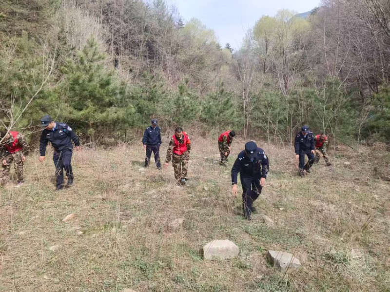 1776241456208152.jpg 4.jpg