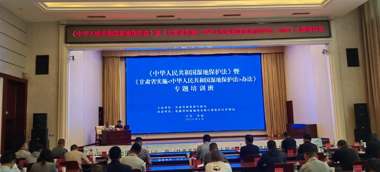 1780620653681601.png 图片1.png