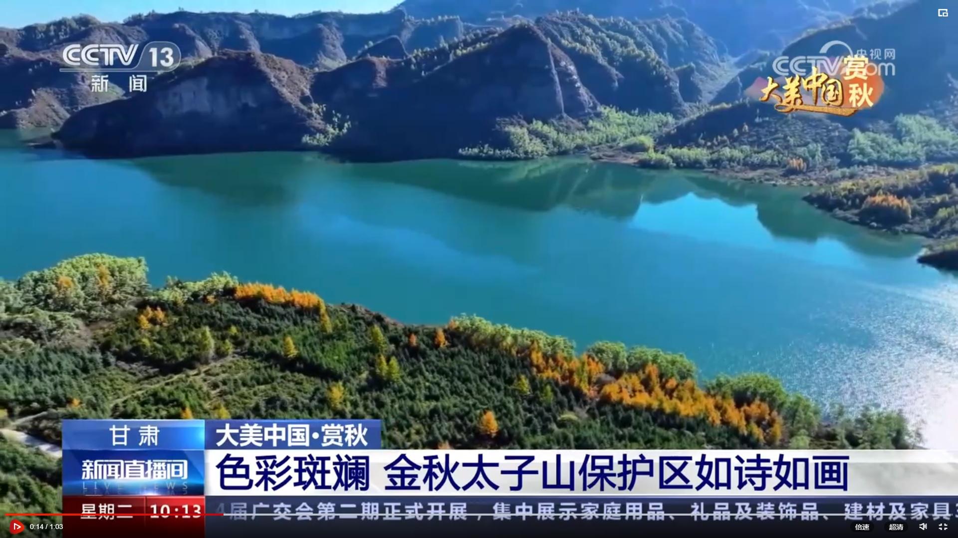 CCTV13【新闻直播间】大美中国·赏秋 甘肃 色彩斑斓 金秋太子山保护区如诗如画