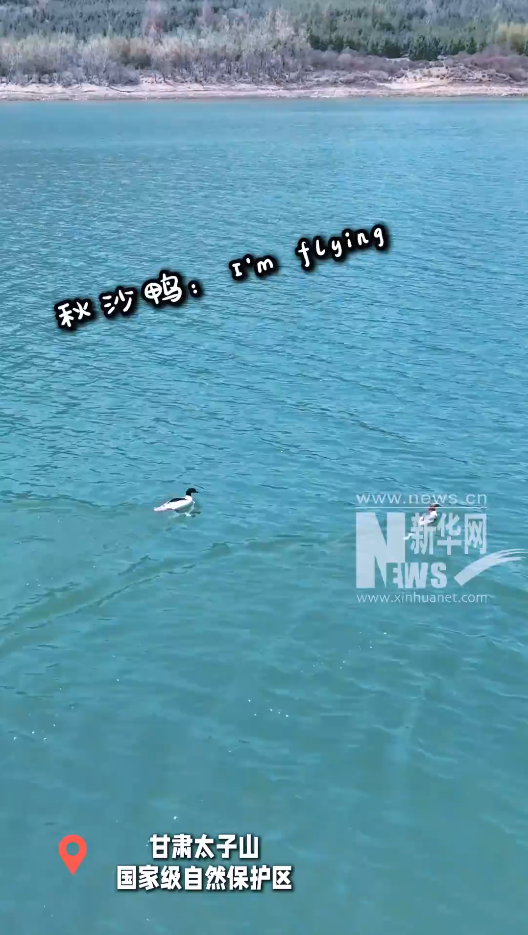 【甘肃省林业和草原局】天气转暖 甘肃山野间的“精灵”开启“营业”模式