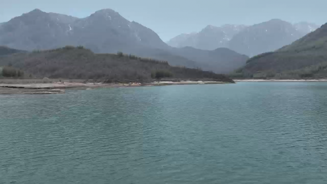 【国家林业和草原局】甘肃太子山：水鸟集结大湾滩水库