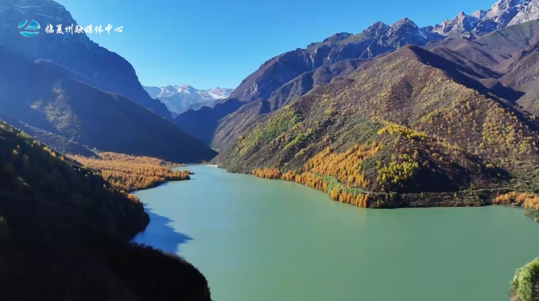 【临夏州融媒体中心】太子山秋韵