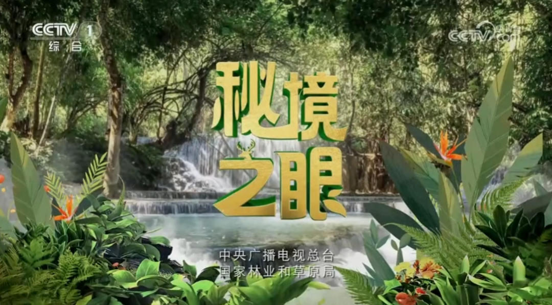 【CCTV1】秘境之眼 赤狐